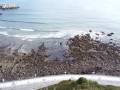 ECOLOGISTAS rechazan nueva PLAYA artificial de PALMERA SUR
