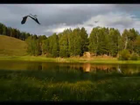 Посмотреть видео клип