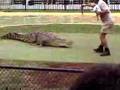 Steve-Irwin-and-Savv