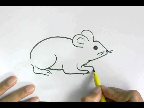 video-linktoworks-How to draw rodent rat or mouse in easy steps for ...