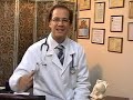 Ni Una Dieta Más (El Cerebro de Gordo) P3 Ni Una Dieta Más (El Cerebro de Gordo) P3