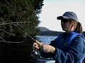 bass-fishing-w-jackall-soft-plastics-texas-rigged-style.html