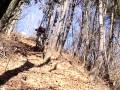 videos de ３　担ぎ登り2