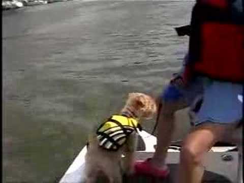 Cayuga Lake with Lucy Fishing and ...