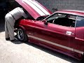 MUSTANG REYNOSA 1