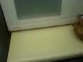 YOU HAVE TO SEE THIS!!!!!!!! YOU HAVE TO SEE THIS!!!!!!!!