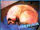 videos de Michina