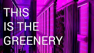 This is the Greenery™ Container Farm