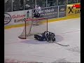 pavel datsyuk