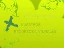 FORO ECOLOGICO 2008
