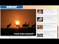 Newsletter 11: Family Travel Success