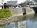 きりしま６号
