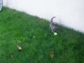 BOUBA ET SA BABALLE BOUBA ET SA BABALLE