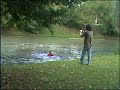 into the water