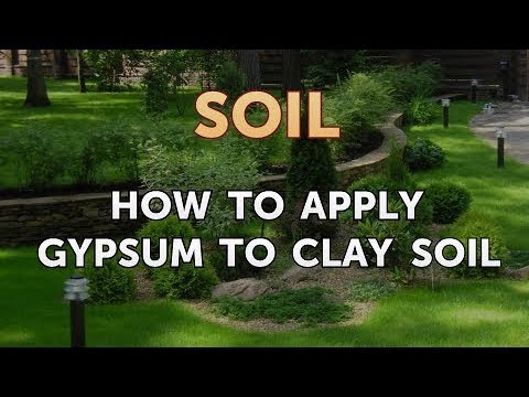video-linktoworks-How to Apply Gypsum to Clay Soil - YouTube