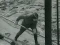 liquidators-of-chernobyl.html