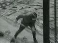 liquidators of chernobyl