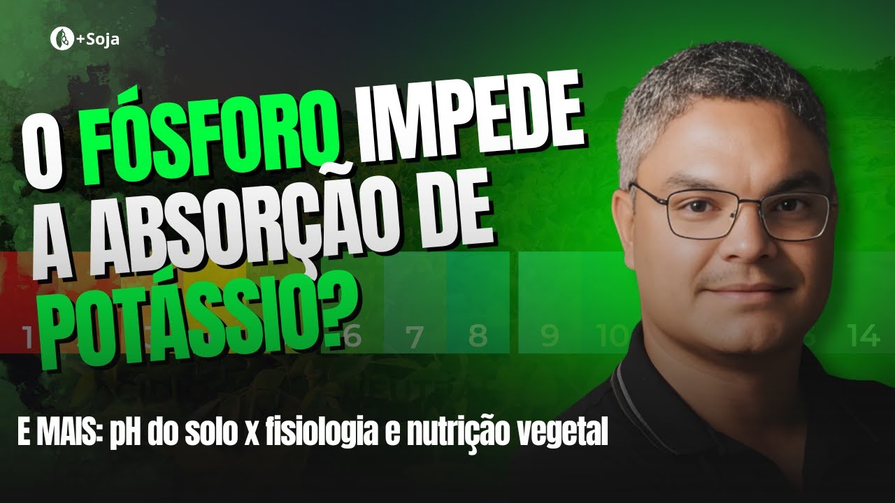 Fósforo IMPEDE a absorção de K?
