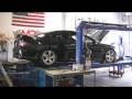 videos de Blake GTO