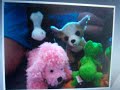webkinz war movie part 4 (sped up)