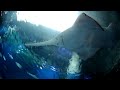 ACQUARIO TOKYO