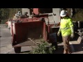 Swarm 1 and 2: http://t.co/mZ9nGAaJ76 via @YouTube
