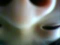 videos de Big Nose Attack 2