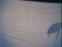 room4wonderfulworld_0002.wmv