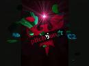 r�ncOntr� o mc2