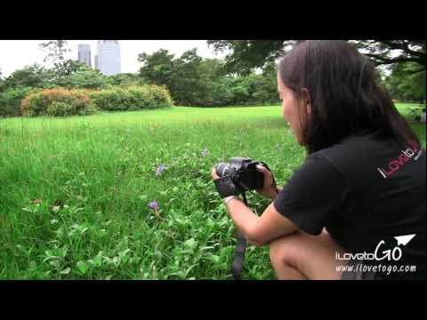 Tip ถ่ายรูป36 ถ่ายวีดีโอ (Video) ด้วยกล้อง DSLR