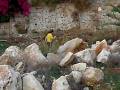 DSCN1779.MOV