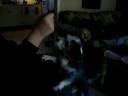 Dozer Talking and Dancing Dozer Talking and Dancing