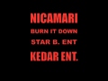 Nicamari Burn It Down Video and Lyrics