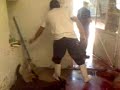 sacrificio de animales