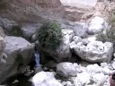wadi bani kahlid