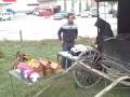 videos de Bryan Greenberg is BIG in the Amish world!