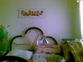 Another Hovering of My Lama v4 in my Bed - part1