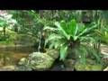 World Largest Bird Park  Kuala Lumpur