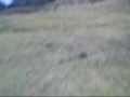 Motorrad-Video my bros first ride on his new ktm 85 b/w
