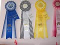 Re: Max-A-Million jumping 3\ Re: Max-A-Million jumping 3\
