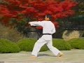 Taeguek Ee Jang Taeguek Ee Jang