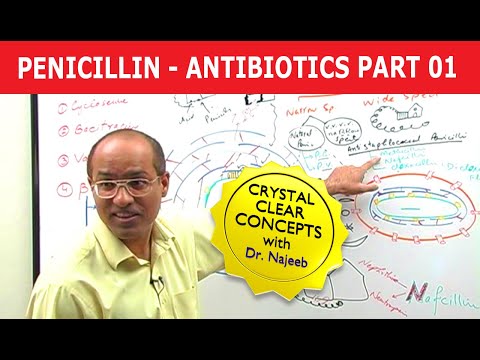 peniciline - Penicillin Antibiotics - Pharmacology video - Get 1 Year Online Access to 400+ Hours of videos on Basic Medical Sciences. Limited Time Offer: $99 ONLY! http:...