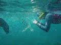 Swimming with Sea Lions in the Galapagos.wmv ...