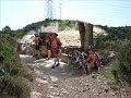 Muntanya de Begues (10.6.07)