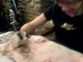 videos de Chloe Fisher 11 year old tattoo artist