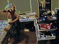 (FUNKY MIX) DJ BLEND (FUNKY MIX) DJ BLEND