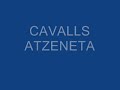caballos atzeneta