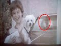 fantasmas reales
