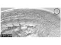 Myotome formation in a zebrafish