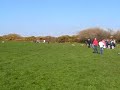 Drag Hunting,  Hound Trailing, part 3
